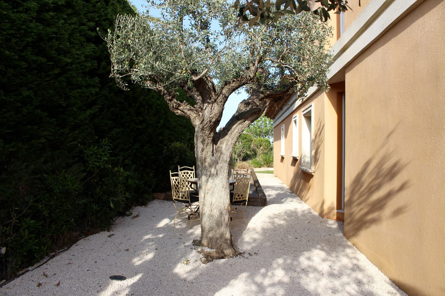 Terrain de pétanque